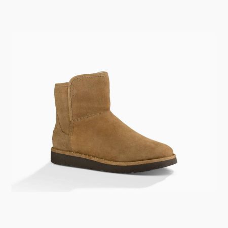 UGG Abree Mini Khaki Boots for Women (QDVT92041)